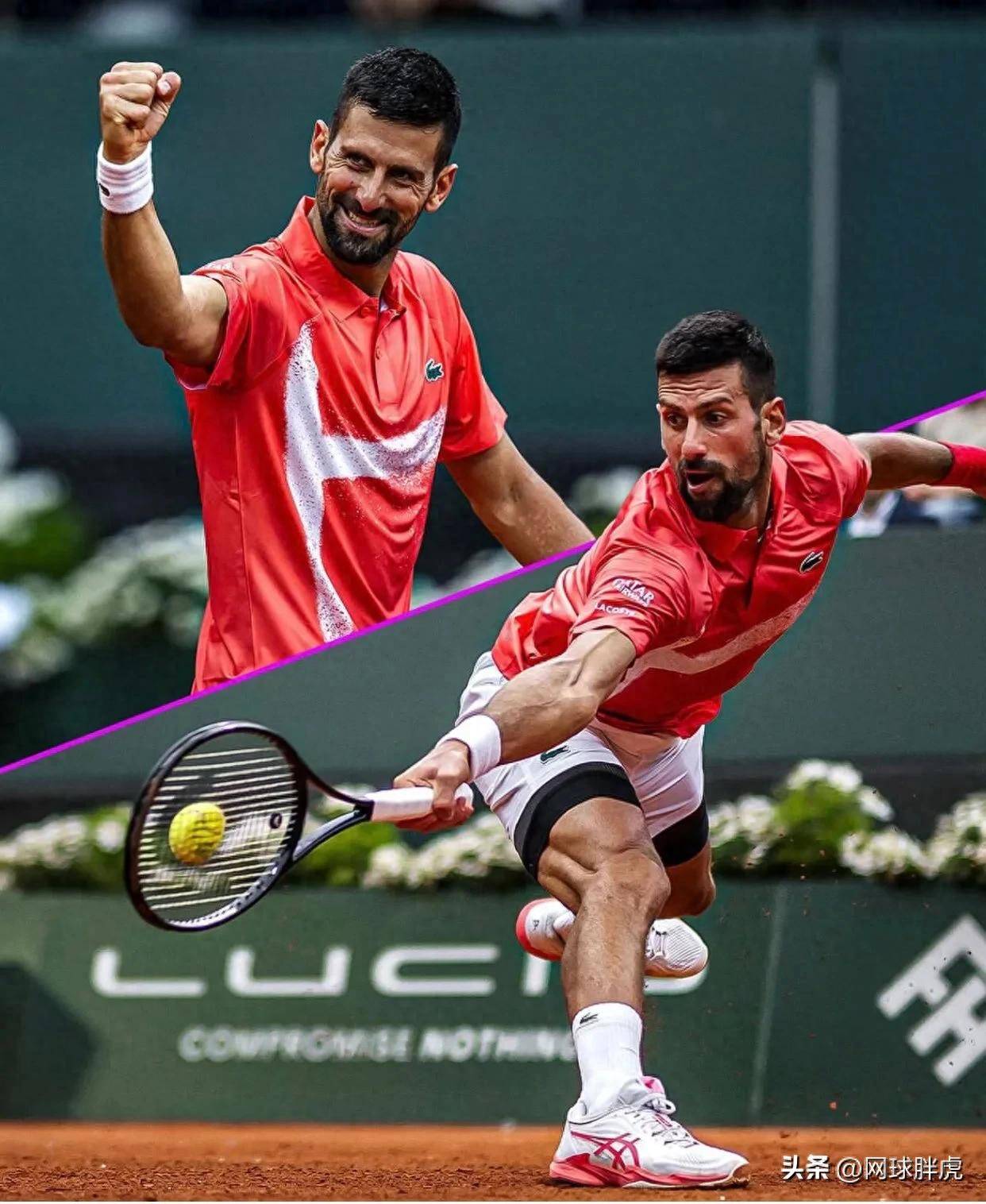 ATP总决赛鏖战法网，德约科维奇高光表现