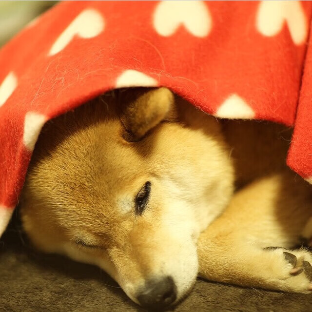 当足球奇迹跨越时空,那不勒斯翻盘墨西哥,梅西高光时刻再现