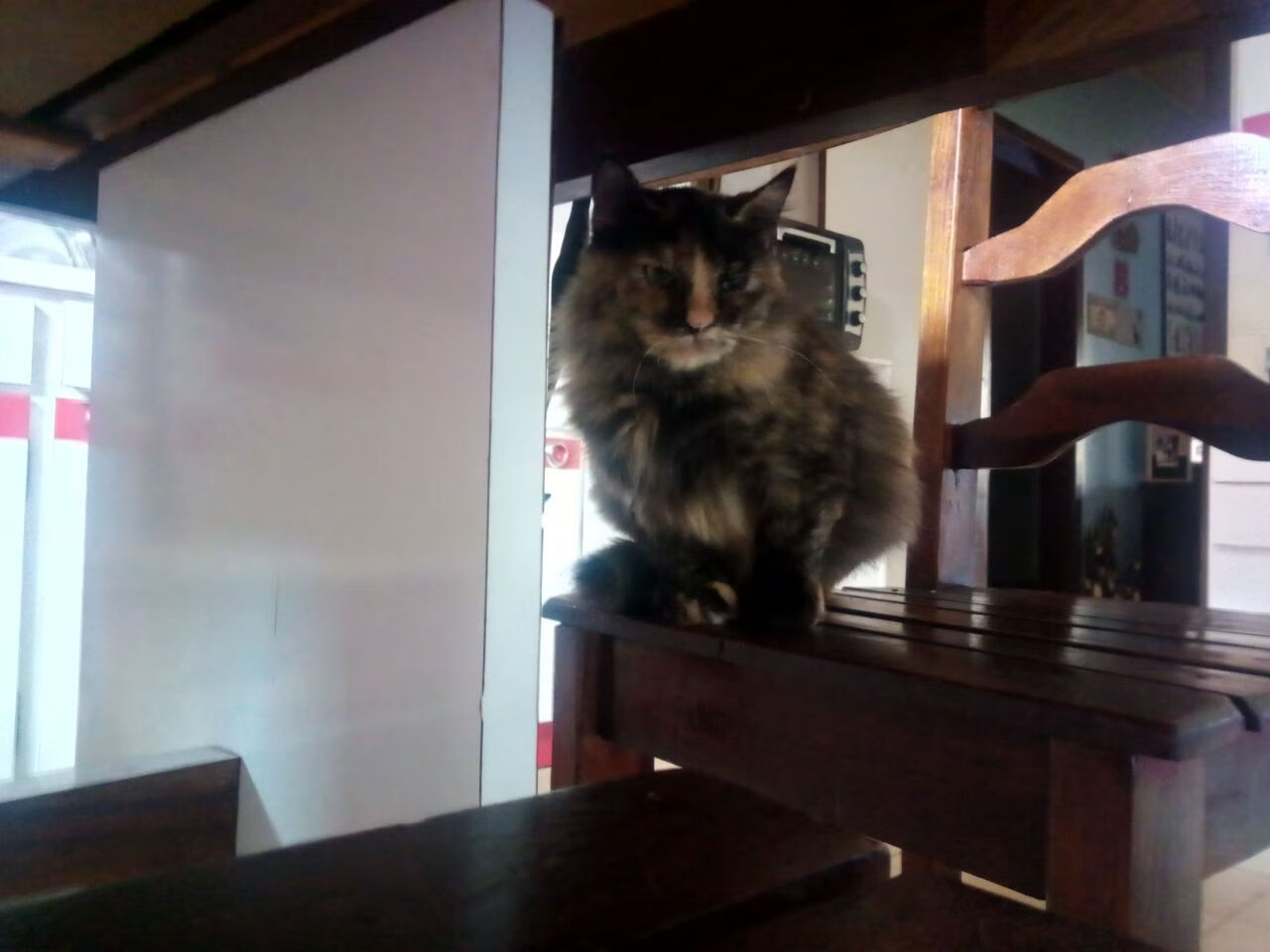 江畔对决,浓眉杭州制胜定律,快船力克浙江的三重启示