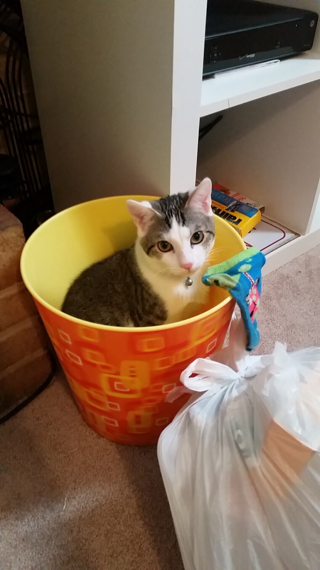 扩展思维后的标题