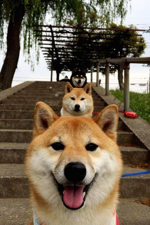 千钧重担与逆转狂潮,陈雨菲扛起全队的惊魂一夜