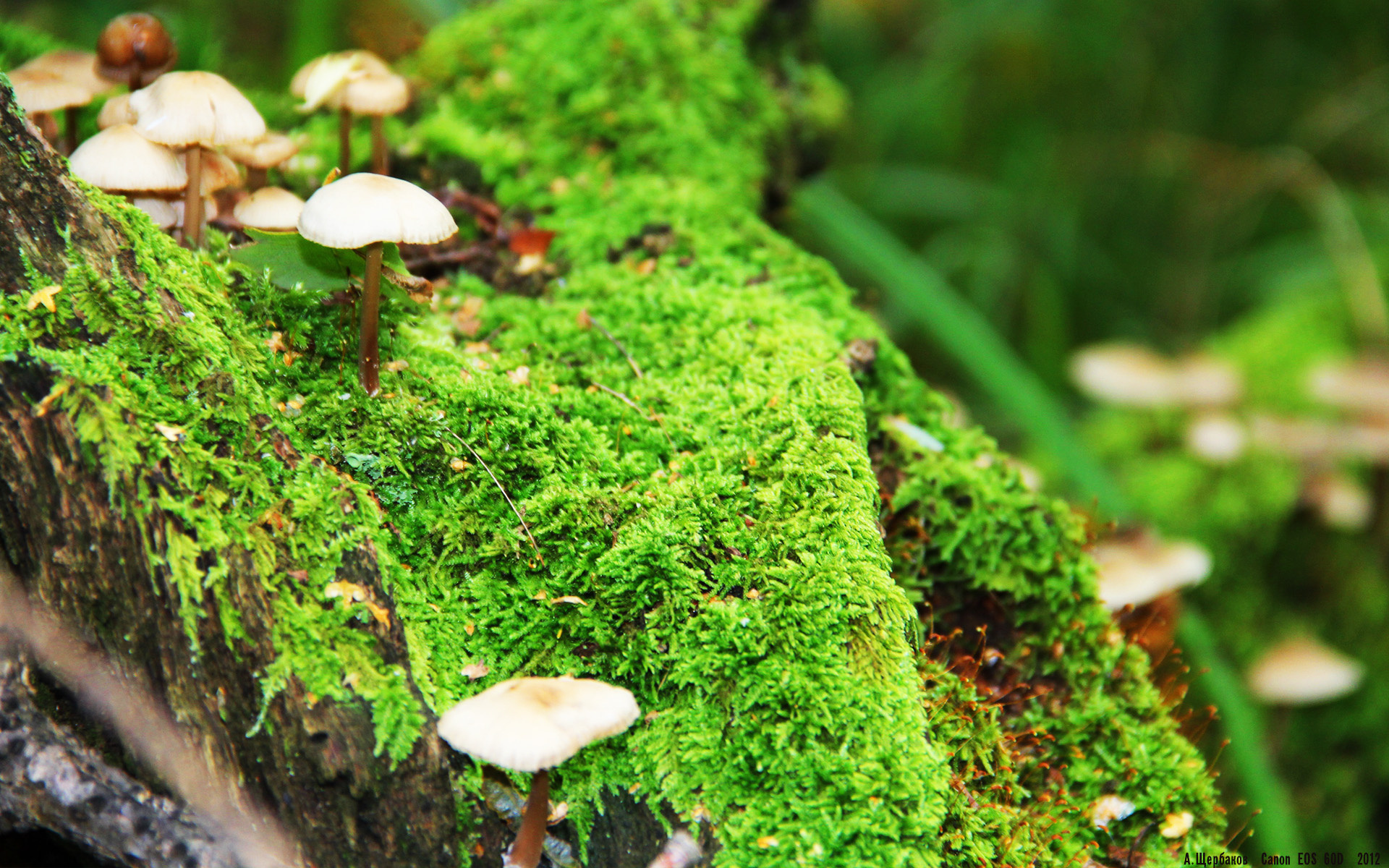 孔德的神秘一击，当个人意志吞噬整体战术，拜仁如何从马拉多纳球场带走那不勒斯？