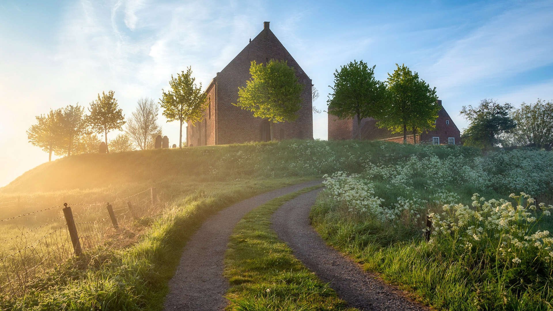 当哨声成为枪声，塞内加尔足球的黄昏，与一个幽灵的归位