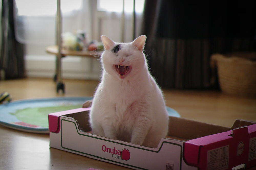 北境长城撼动汽车城！北京队力克活塞，世界排名争夺战迎来关键拐点