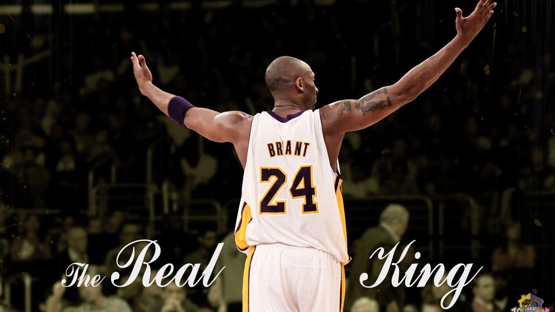 当汾酒遇见爵士乐，山西队的防守交响曲与米切尔的失声时刻