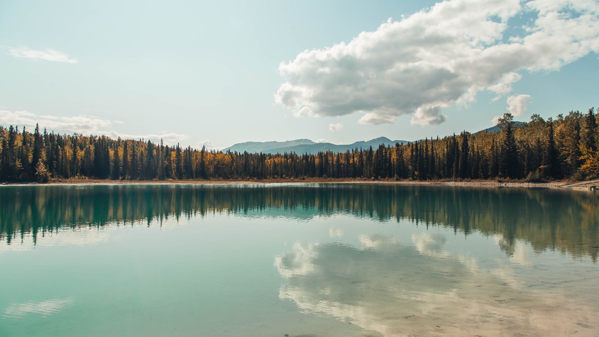 爵士鼓点下的唯一乐谱,当福登在NBA季后赛之夜拒绝颤抖