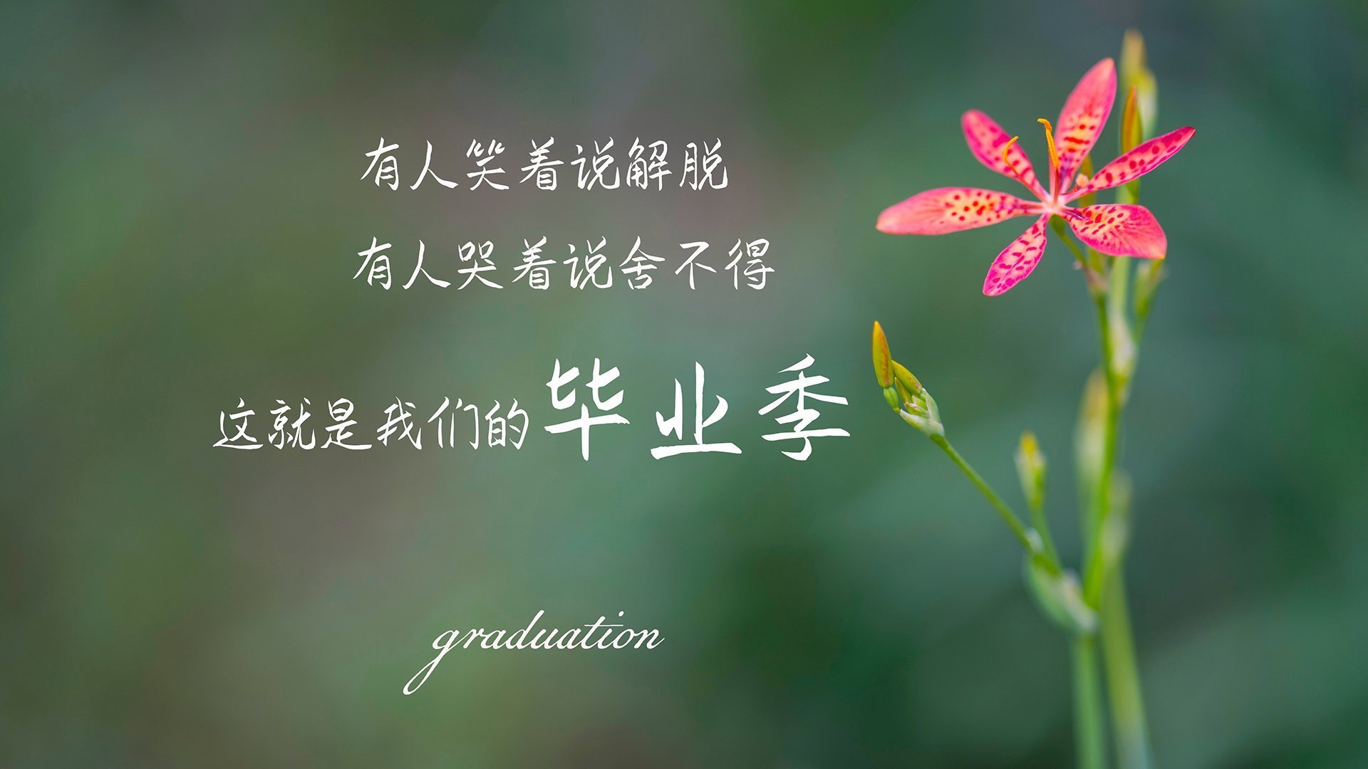 爱游戏-唯一性之战，米切尔硬仗之王本色，广厦队力克北京队的关键传奇