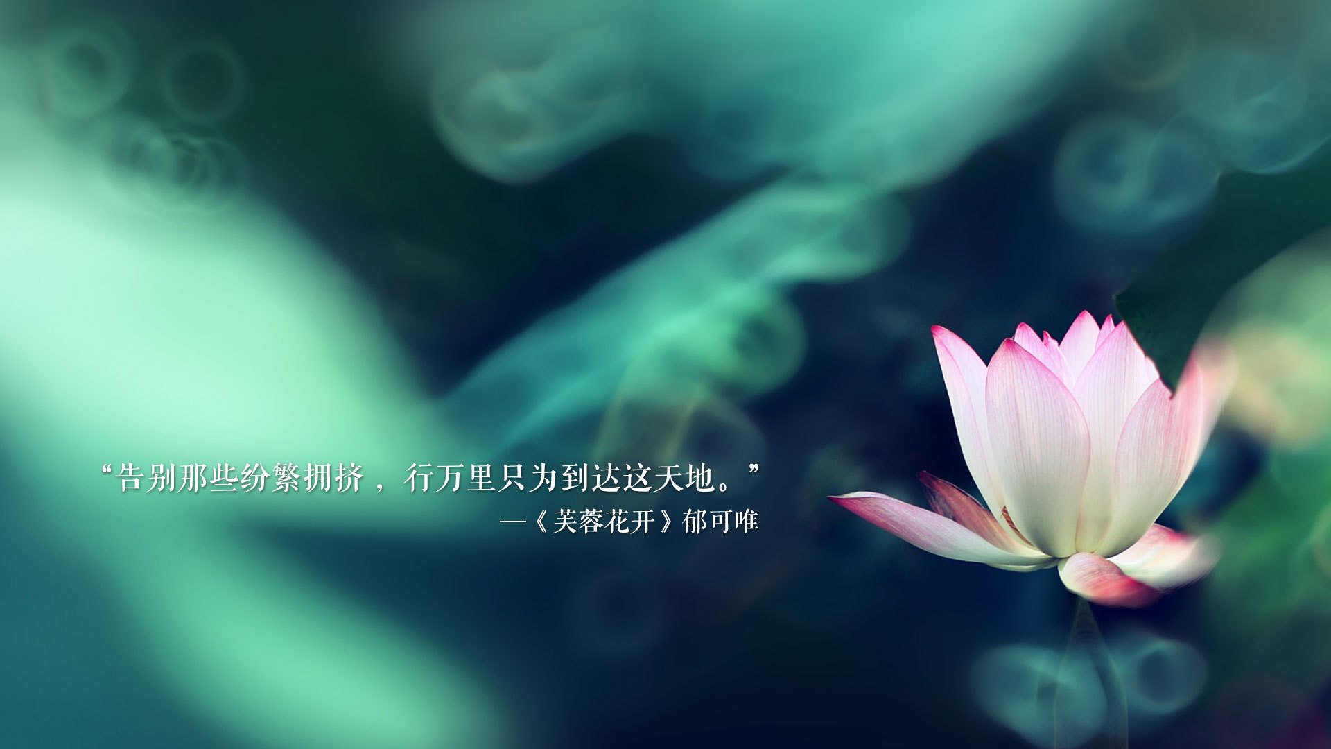 2026世界杯C组烽火连天,日本风暴碾碎匈牙利,登贝莱独舞点燃不眠之夜