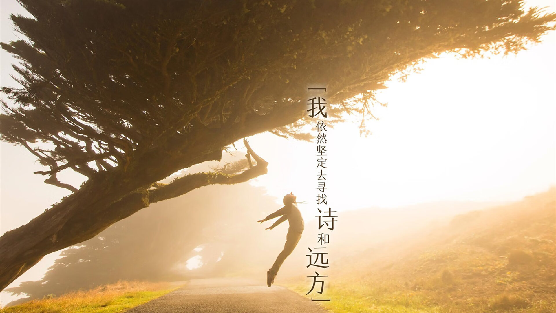 逆转之王,卢卡库导演世界杯B组生死战,喀麦隆用10分钟击碎厄瓜多尔32年梦想